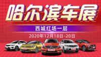2020第三十六届哈尔滨惠民车展
