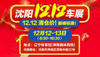 2020沈陽雙12車展
