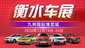 2020衡水第五届惠民团车节