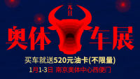 2021第108届麦车网元旦（南京）奥体车展