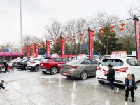直擊肥城車展第一天火爆盛況！總有一款適合您