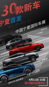 當(dāng)傳統(tǒng)端午節(jié)遇上寧夏國際車展，買車正當(dāng)時！