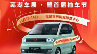 2021蕪湖雙十一全民抽車節(jié)暨第十九屆惠民團(tuán)車節(jié)