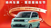 2021揚(yáng)州團(tuán)車(chē)網(wǎng)雙十一惠民車(chē)展