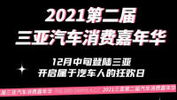 2021第二屆三亞汽車消費(fèi)嘉年華