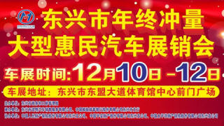 2021东兴体育馆年终大型车展