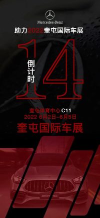 牽手端午，實惠購車丨奎屯國際車展