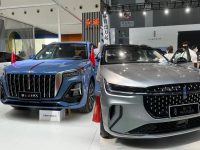 2023東營(yíng)秋季車展將持續(xù)至9月10日，快來(lái)感受車展的熱情