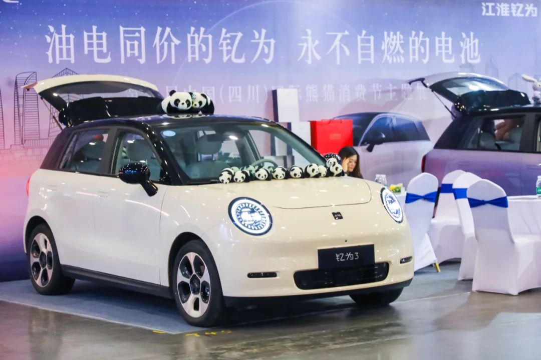 熊猫消费节新能源车展