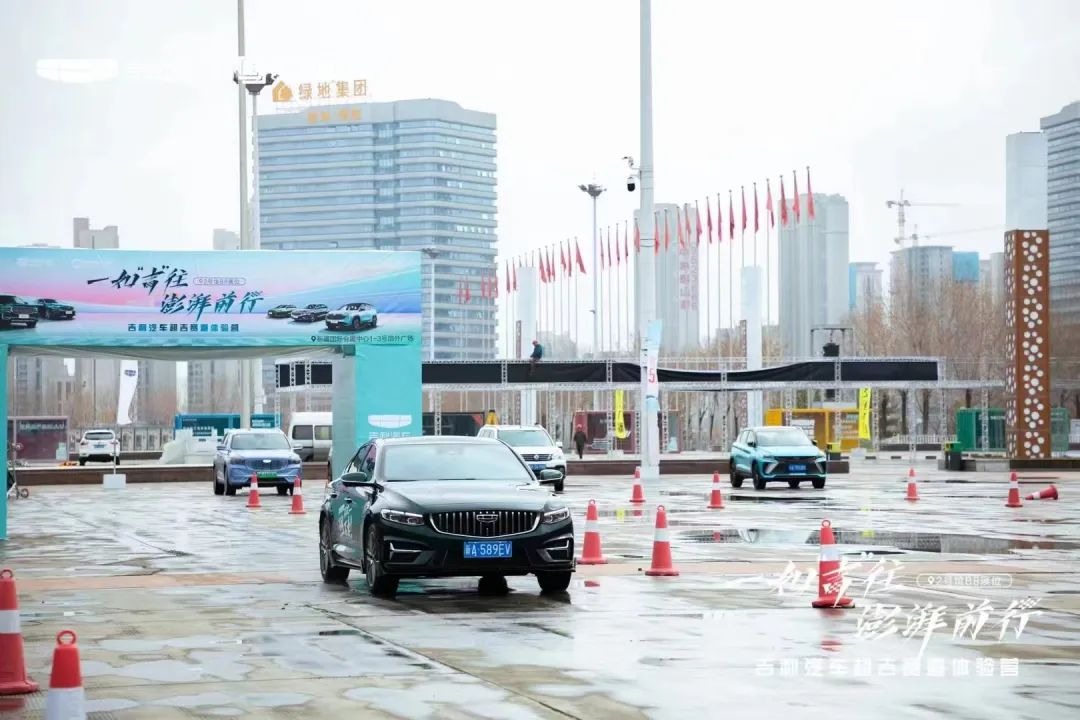 新疆315国际车展