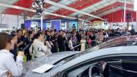 綠色盛宴！這屆洛陽新能源車展看點十足！