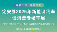 定安县2025新能源汽车促消费专场车展