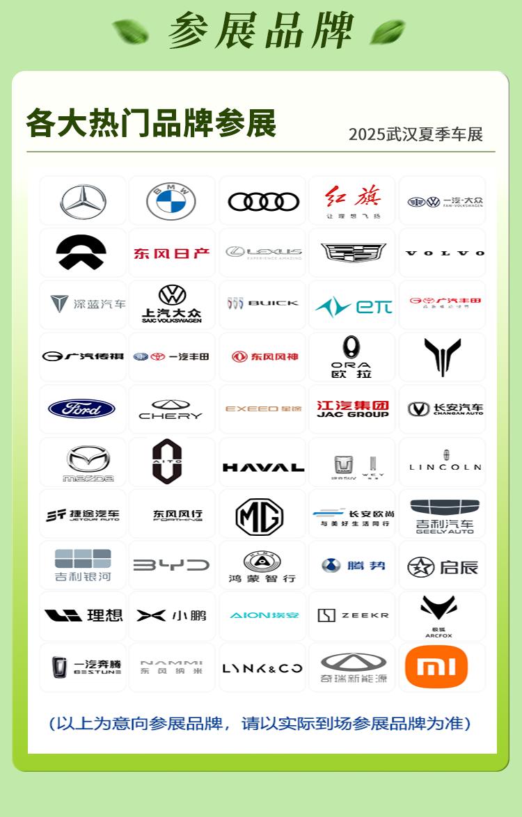 武漢夏季車展