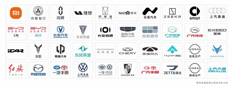 昌江新能源汽车下乡车展