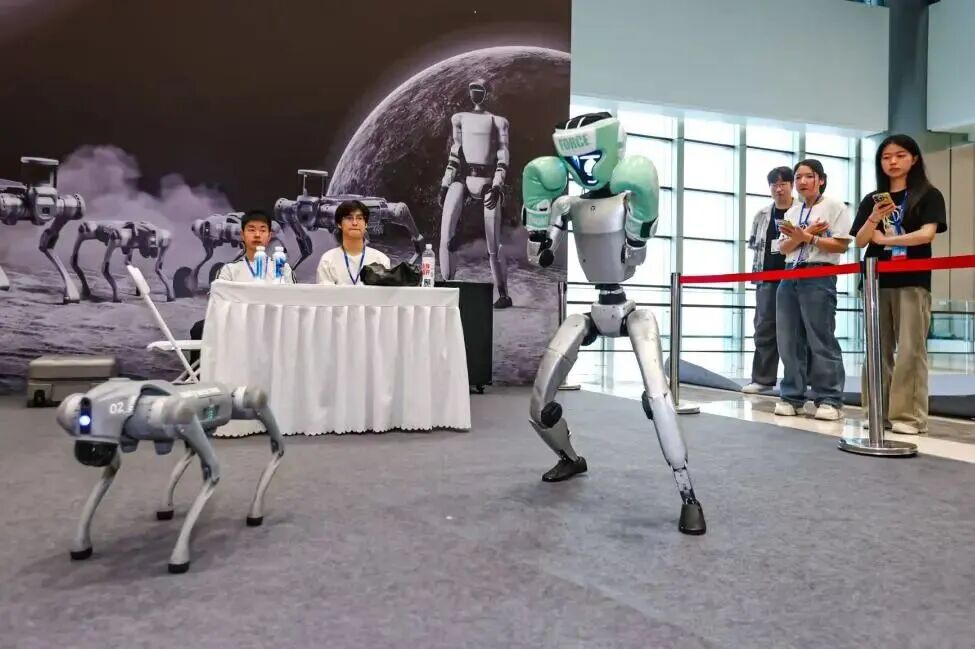 杭州湾大湾区车展