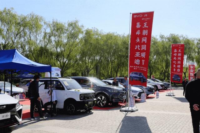 嘉峪关十一大型汽车展