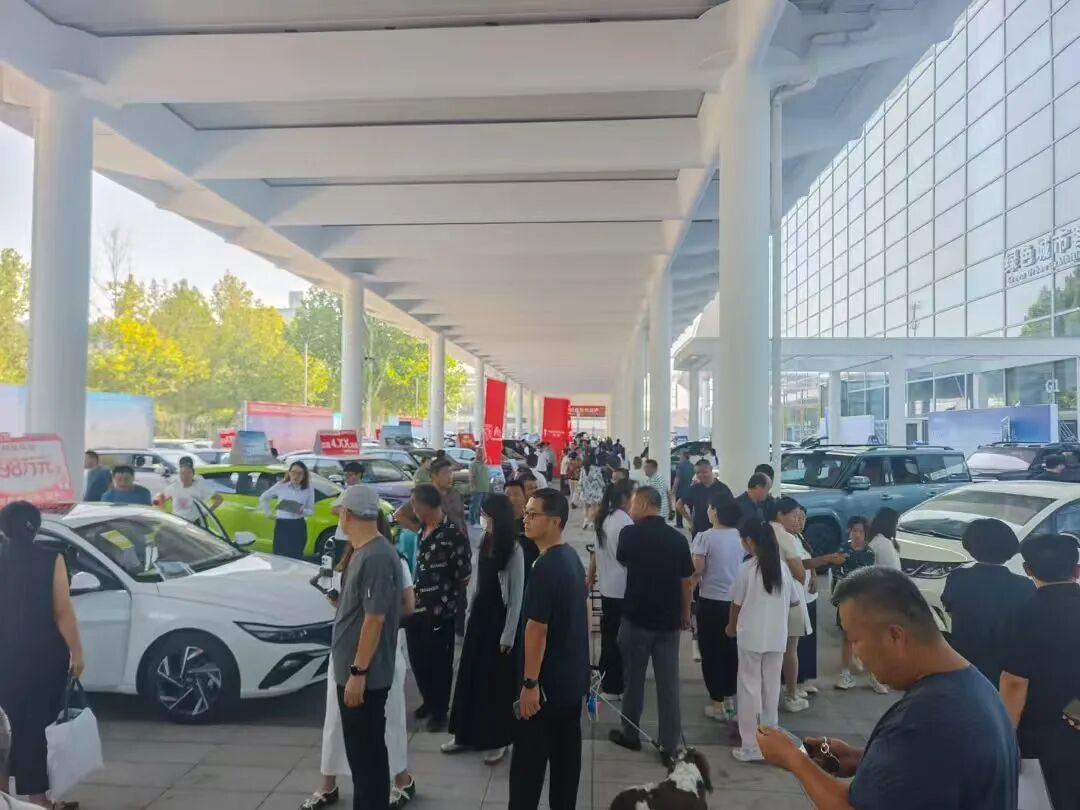 德州十一车展