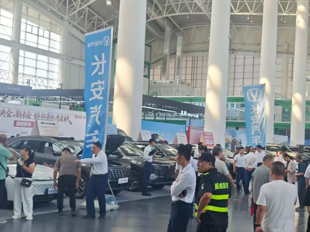 德州十一车展