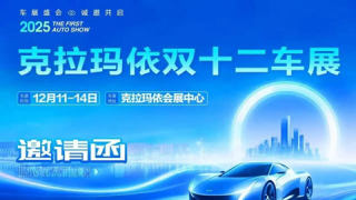 2025克拉玛依双十二车展