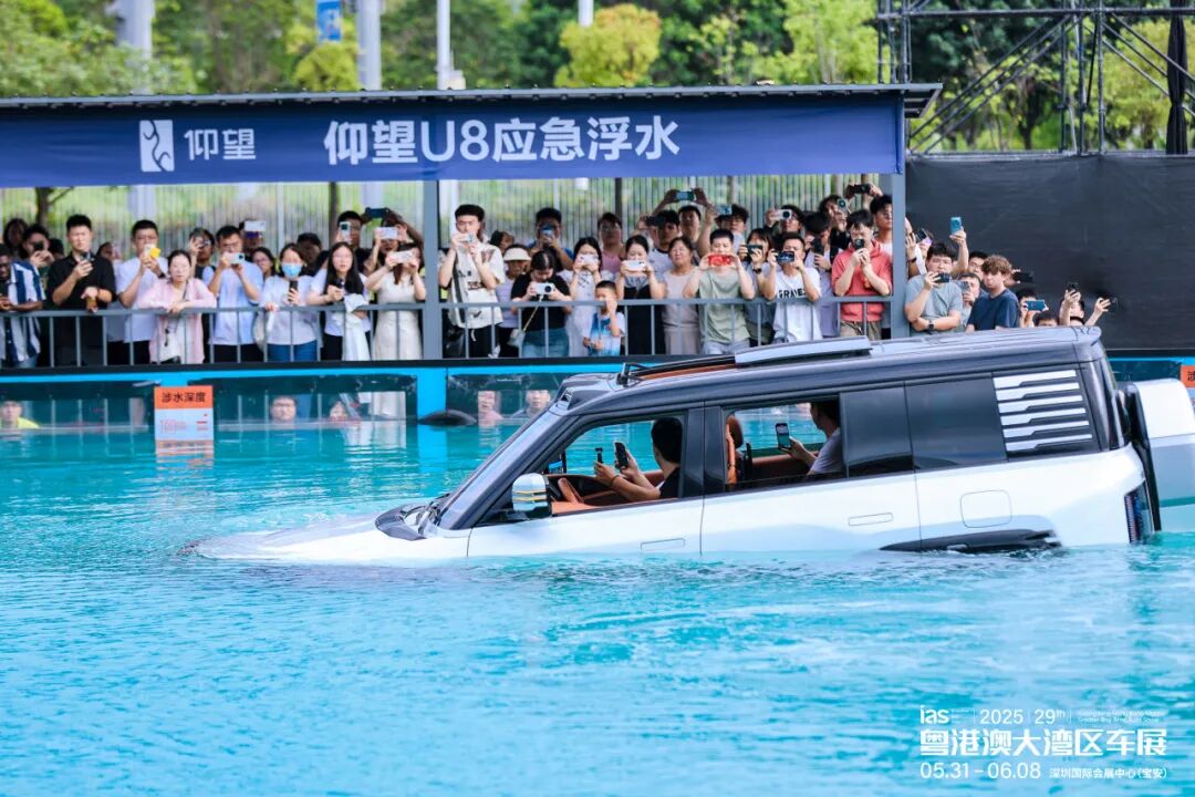 粤港澳大湾区车展