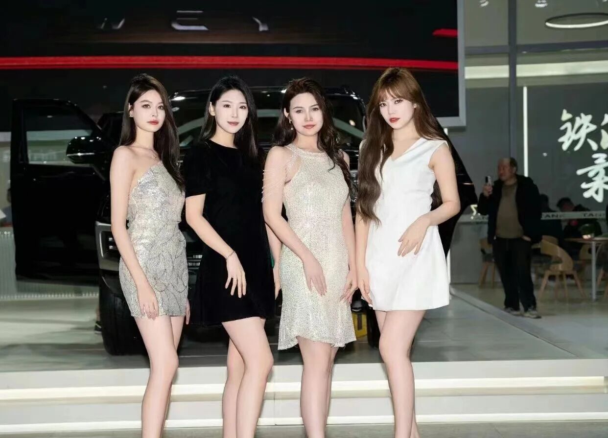 新疆 315国际车展