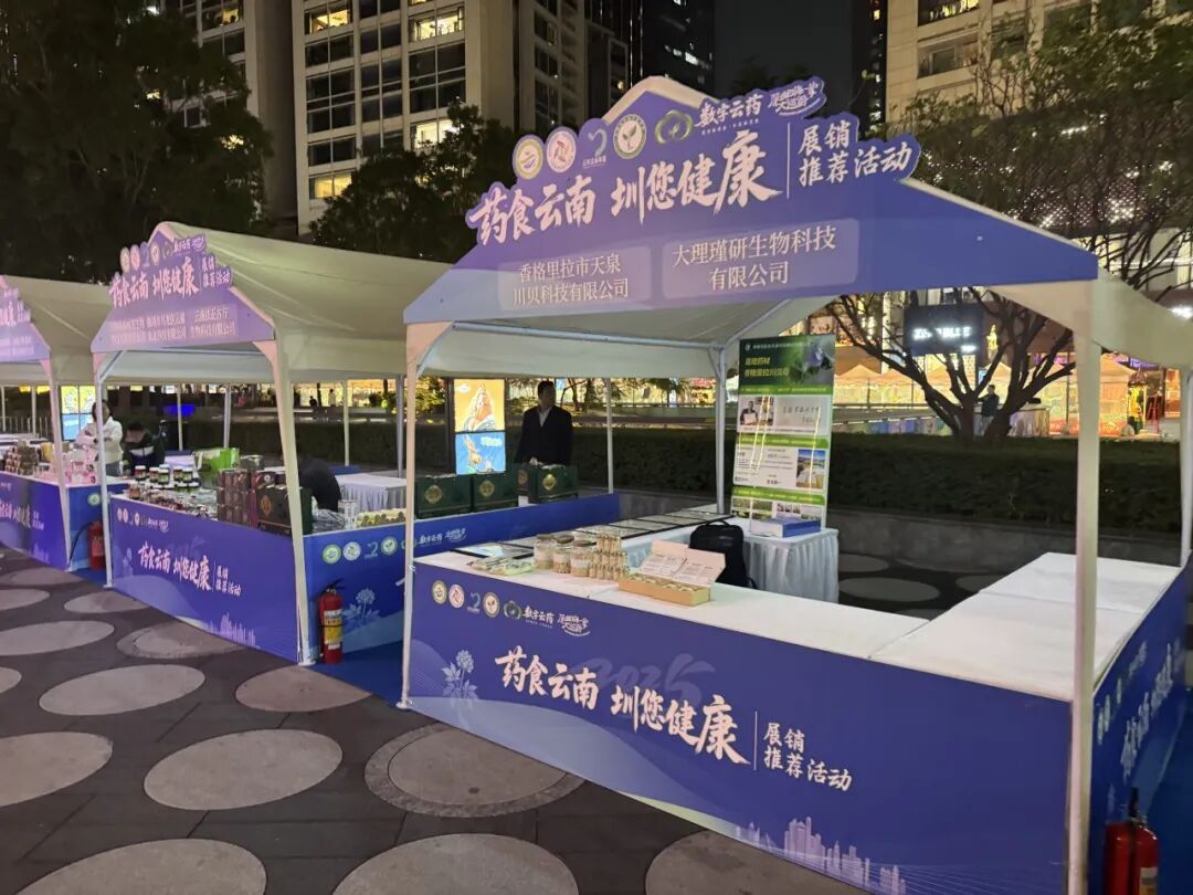 深圳五一国际车展