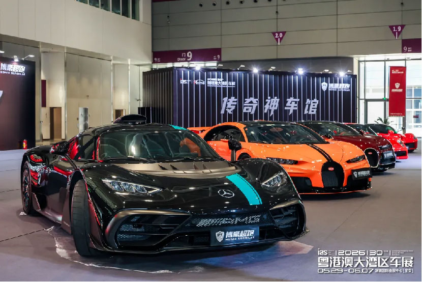 粤港澳大湾区车展