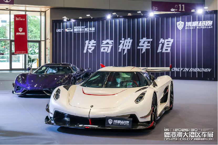 粤港澳大湾区车展