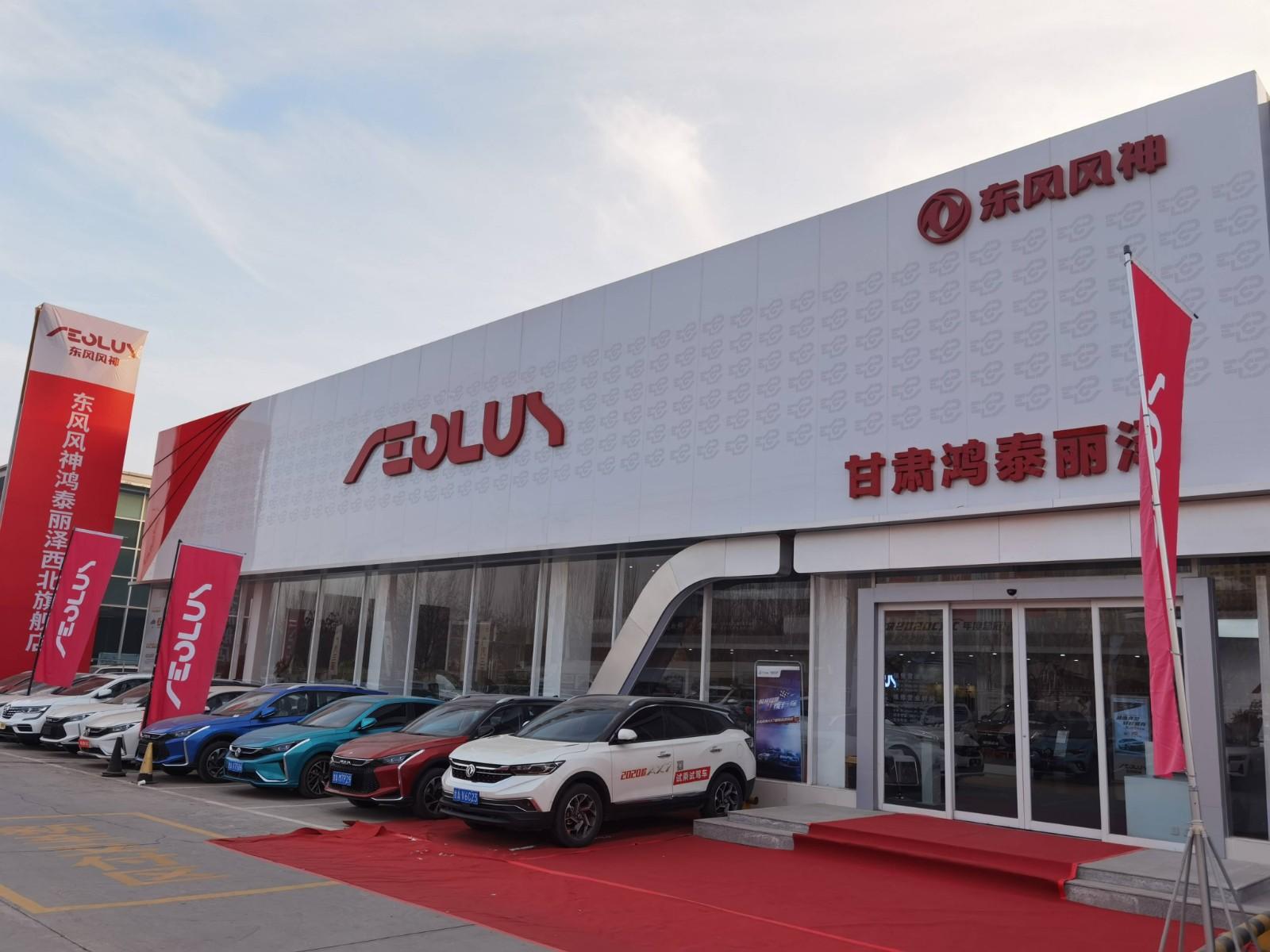 甘肃鸿泰丽泽东风风神